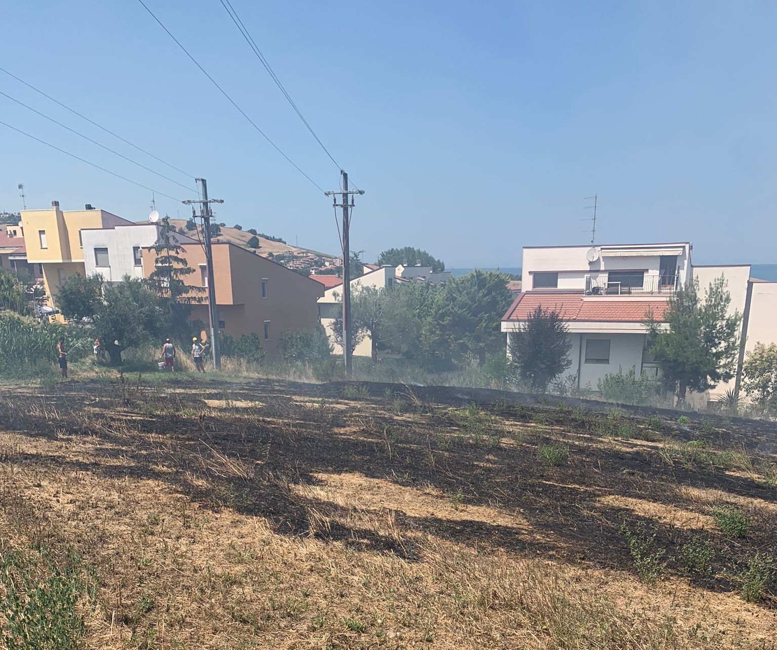 Pineto, sterpaglie a fuoco al quartiere dei Fiori FOTO/VIDEO