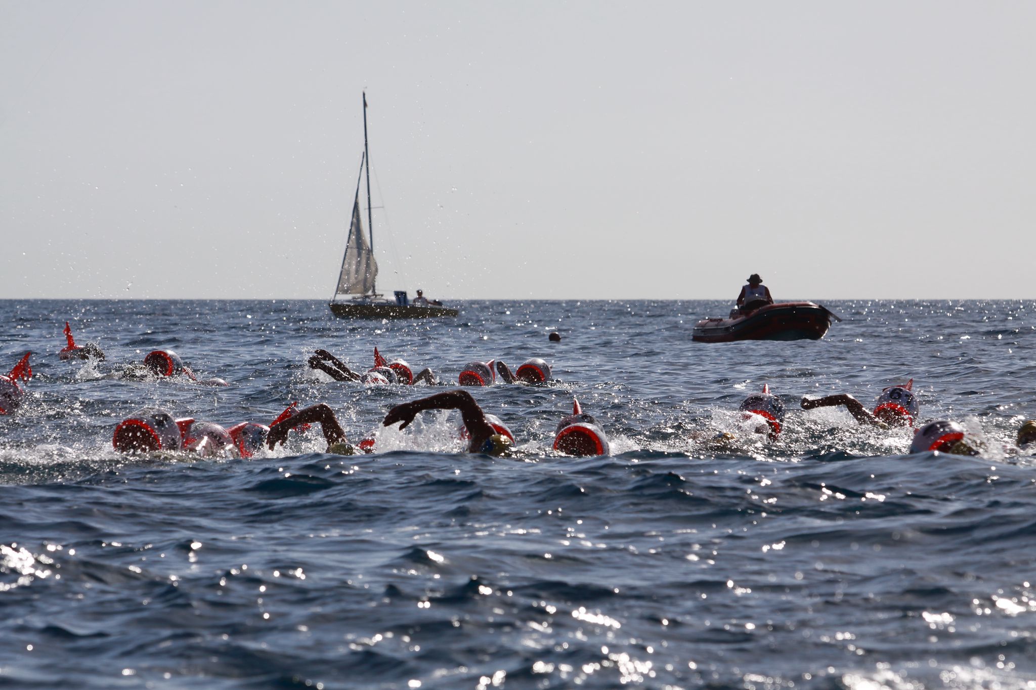 Pineto, il Trofeo di nuoto si conferma un successo annunciato FOTO