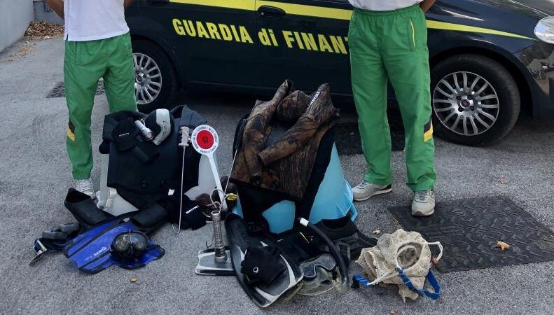 Pescara, catturano 100 chili di polipi di frodo: quando riemergono trovano la Finanza-FOTO