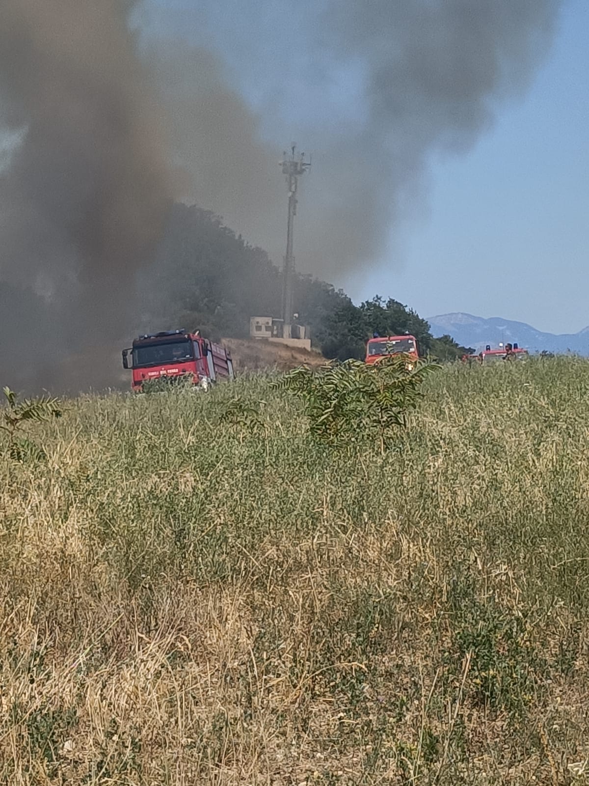 Atri, incendio in contrada Ferretti: in azione canadair e un elicottero FOTO VIDEO