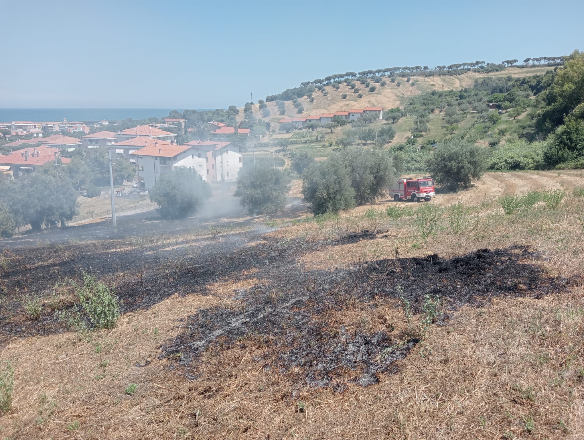 Pineto, sterpaglie a fuoco al quartiere dei Fiori FOTO/VIDEO