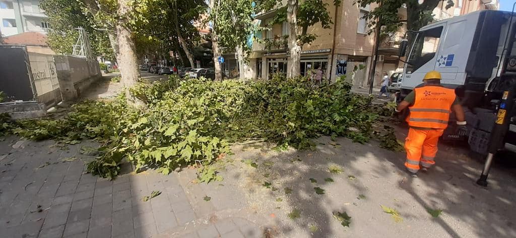 Pescara, vento e danni: interventi già dall'alba-FOTO