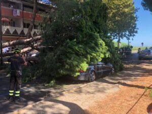 Silvi, grosso albero cade su auto e moto parcheggiate