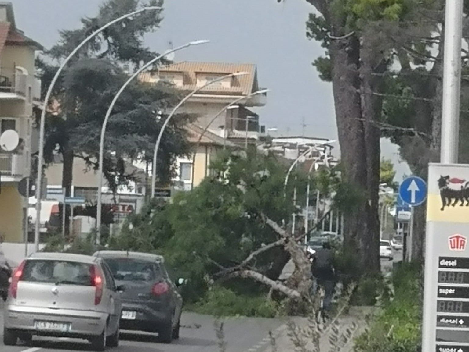 Tempesta di vento in provincia di Teramo: danni e disagi FOTO