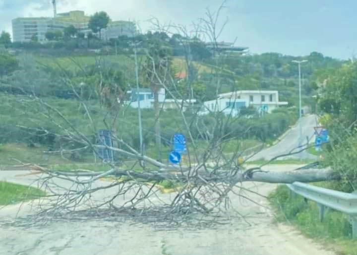 Tempesta di vento in provincia di Teramo: danni e disagi FOTO