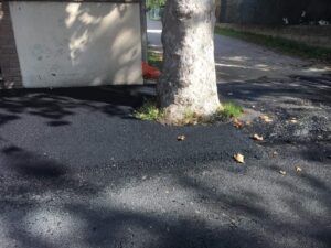 Giulianova, colate di asfalto intorno agli alberi di Via Gramsci