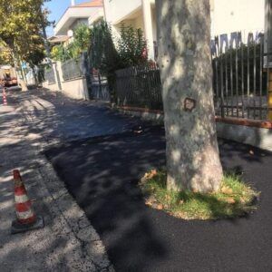 Giulianova, colate di asfalto intorno agli alberi di Via Gramsci