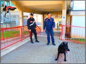Il cane Bagheera fiuta più di 50 chili tra hashish e cocaina a Silvi