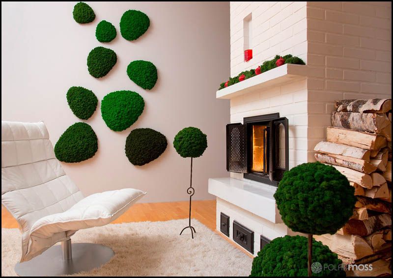 Forestgreen Vivai DIMAFLOR: per un tocco di design esclusivo alla tua casa o al tuo negozio