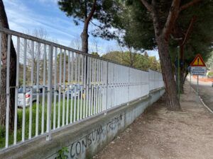 Giulianova, il Cittadino Governante: l'impegno per la tutela degli alberi continua