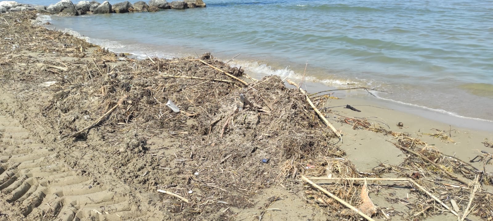 Spiaggia sporca e maleodorante dopo la pulizia a Cologna: la denuncia FOTO