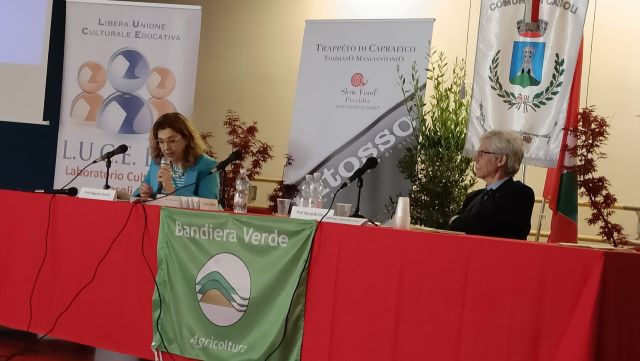 Τα Απέννινα μπορούν να ηγηθούν της επανεκκίνησης της ιταλικής ελαιοκαλλιέργειας: συνέδριο στο Casoli