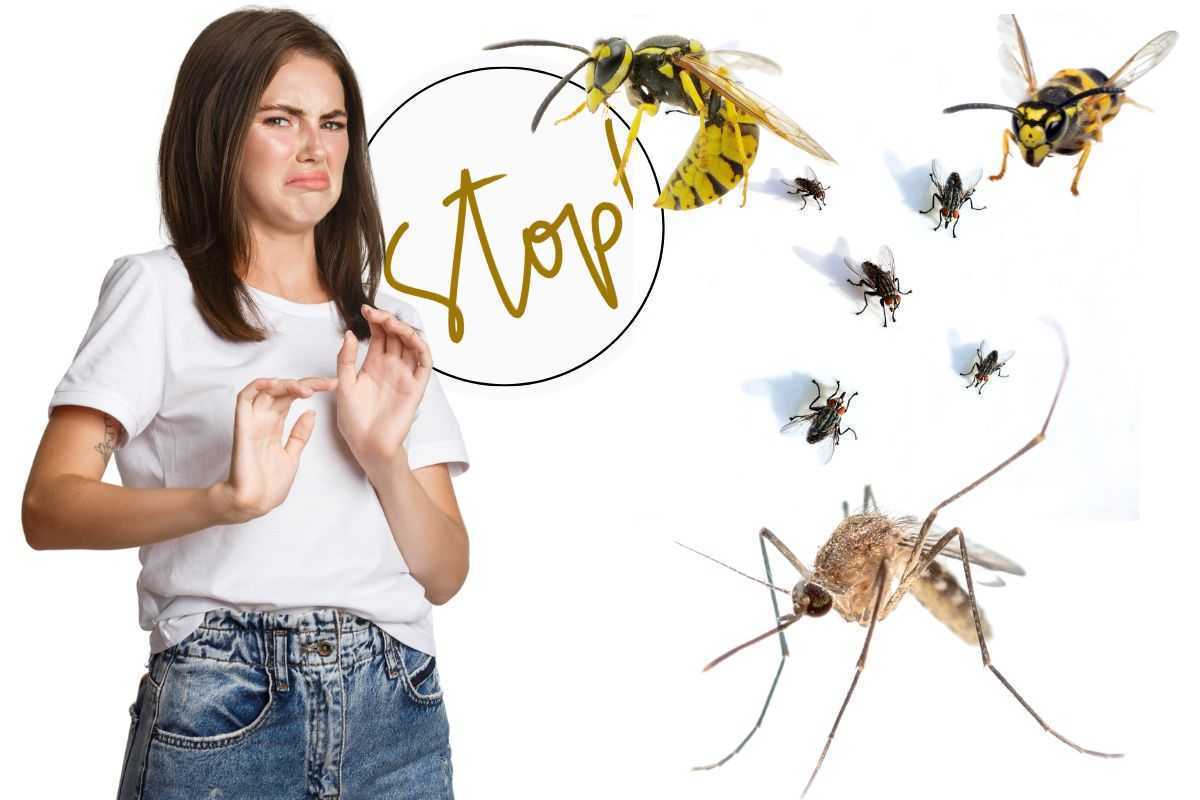 Stop mosche, zanzare e vespe