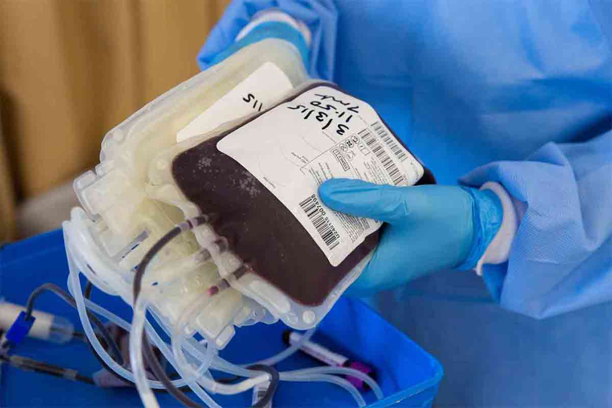 L'importanza di donazioni di sangue e midollo