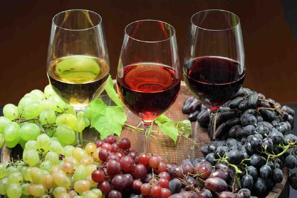 bicchieri di vino con grappoli d'uva intorno