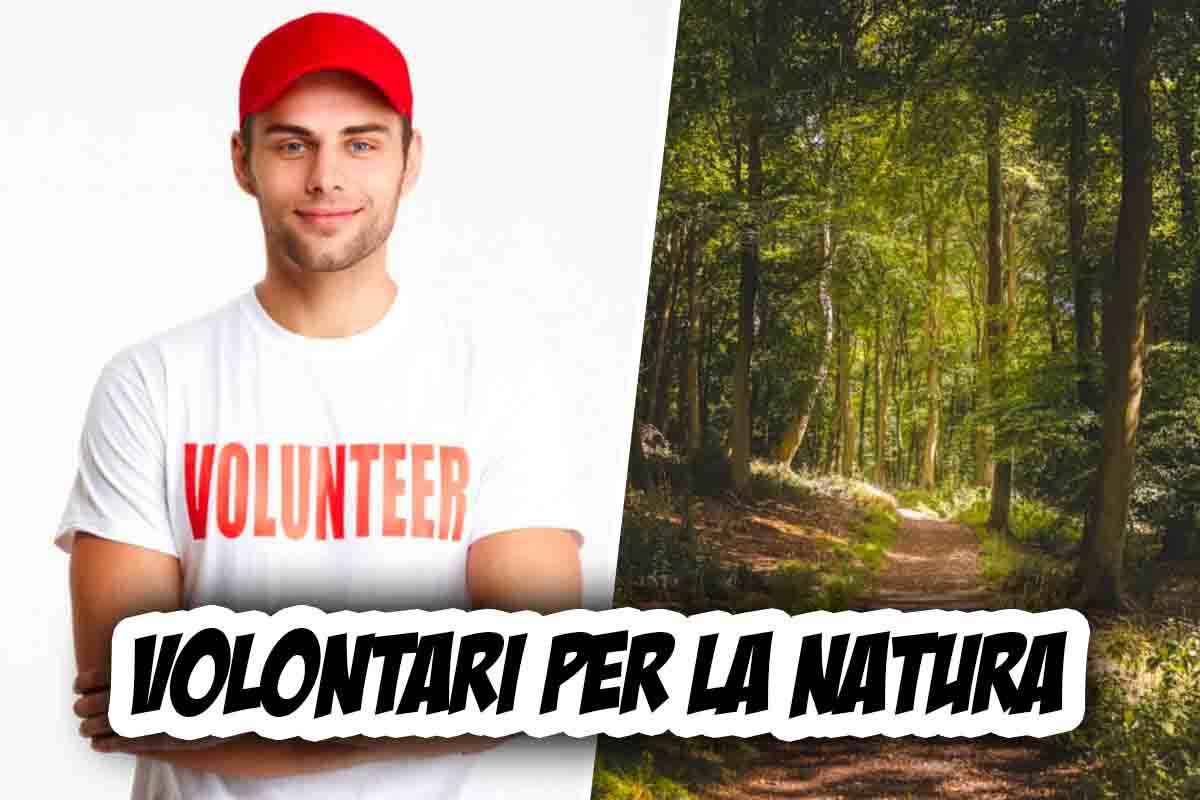 Volontari Natura: come diventarlo