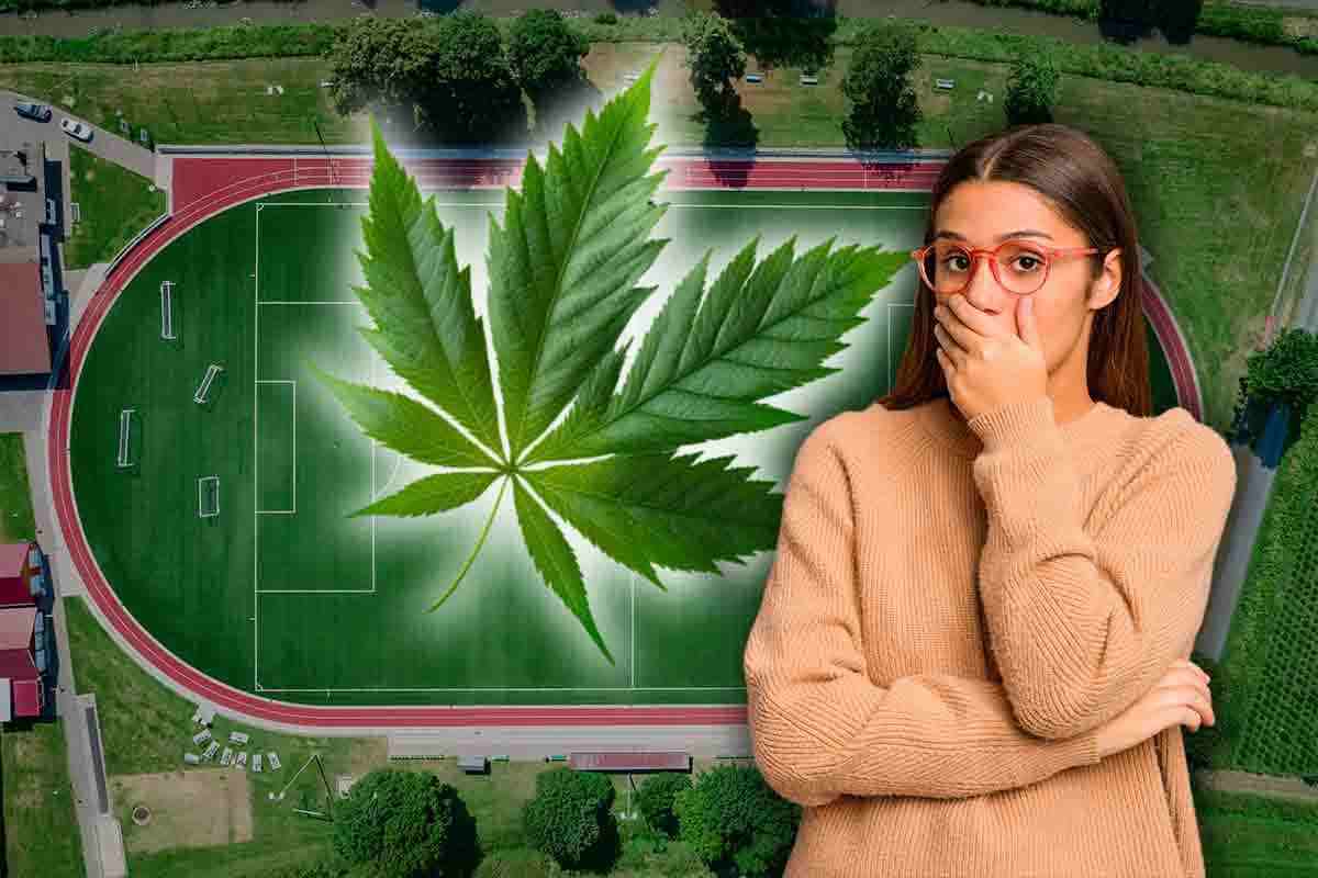 marijuana sui campi da gioco