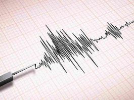 sismografo che rileva scossa di terremoto