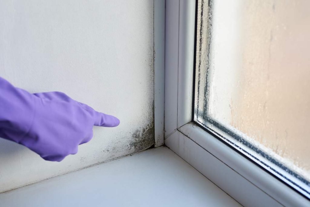 Tracce di umidità in casa-rimedi per eliminarle e prevenirle