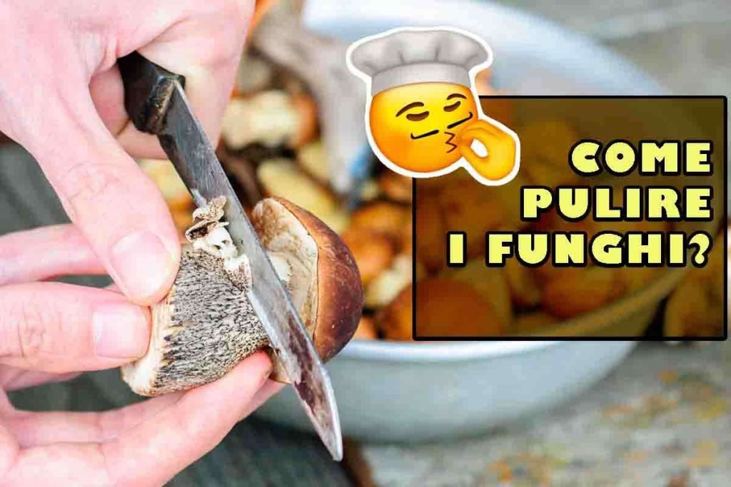 i funghi vanno puliti in un modo preciso