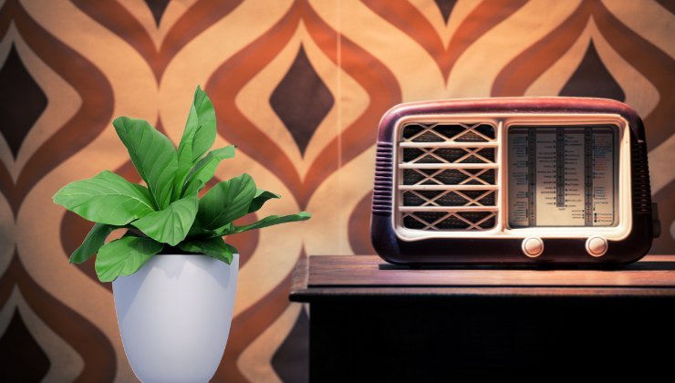 come dare nuova vita ad una vecchia radio