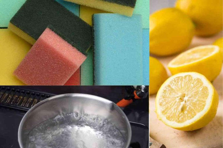 3 Spugnette Doppia Faccia Kleeneze - Per Cucina, Bagno E Auto | Lavabili E Riutilizzabili - Foto 6