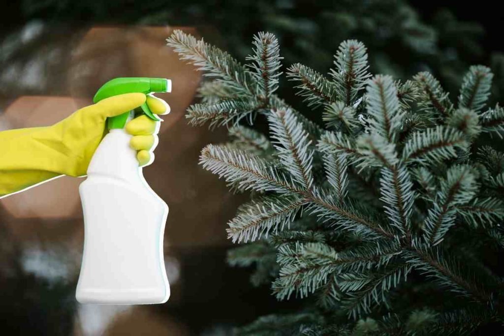 come pulire l'albero di Natale