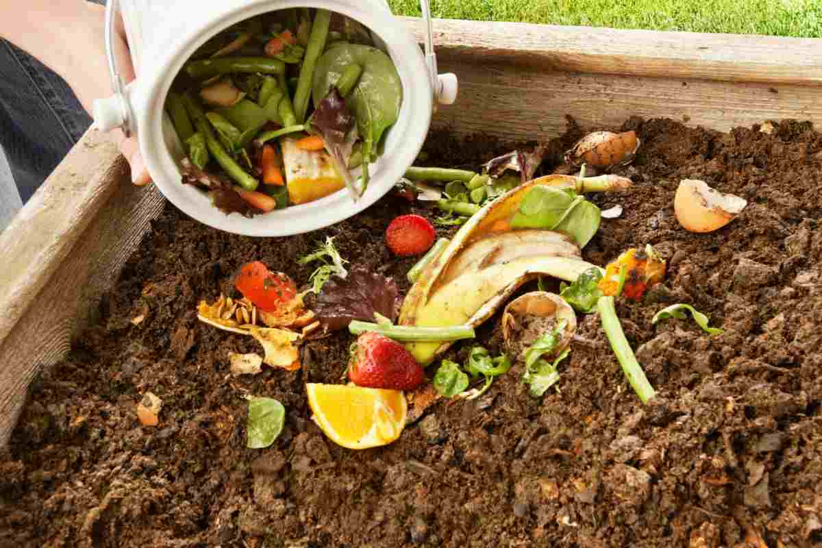 Compost rifiuti organici 