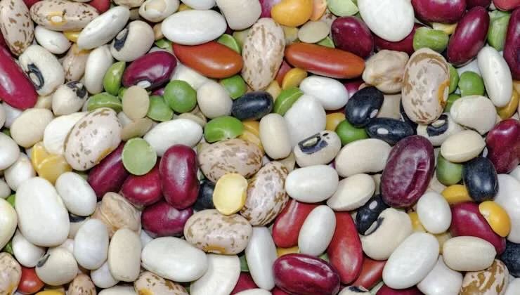 Legumes when to eat them 