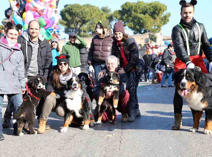 Carnival Dog Giulianova