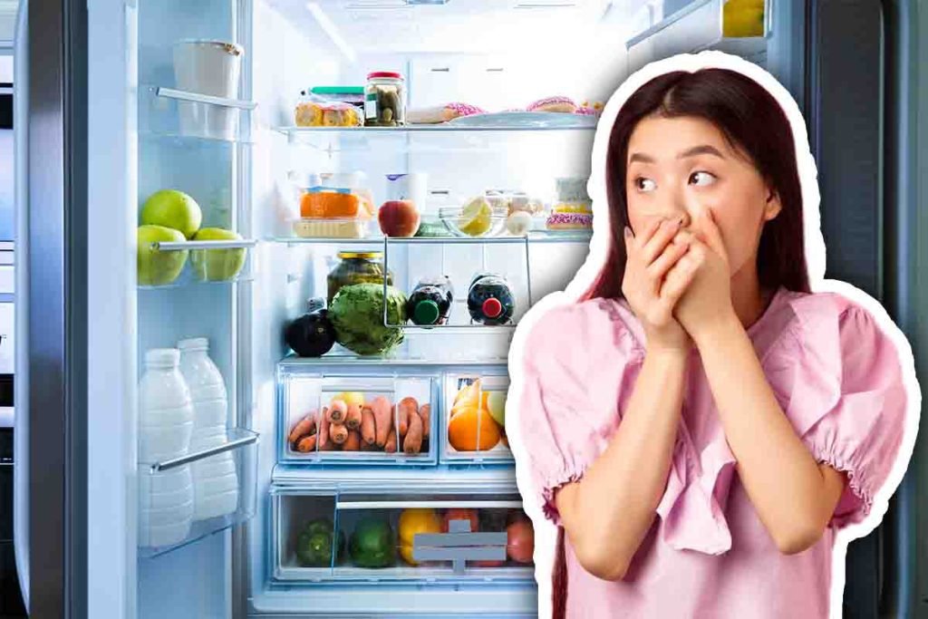 frigorifero parte da pulire per non perderlo basta aspirapolvere o straccio