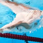 Nuotatori abruzzesi Assoluti Riccione nuoto