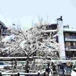 Neve Abruzzo video