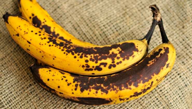 banane e la spiegazione del "sangue"