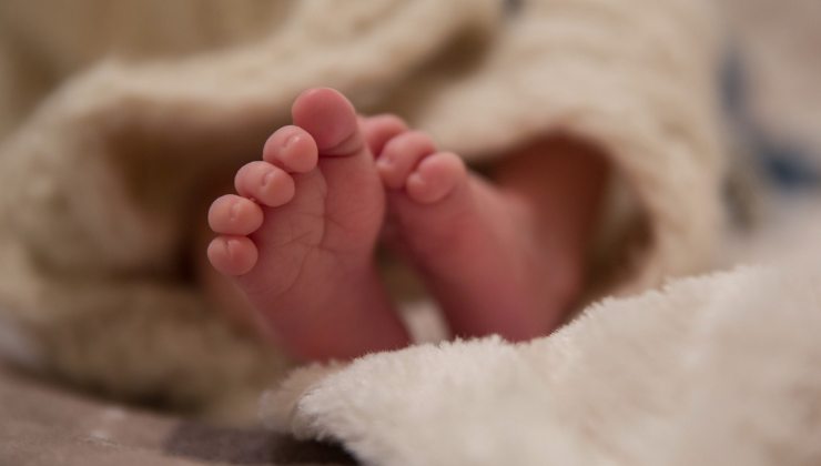 Citrobacter ecco le conseguenze sui neonati