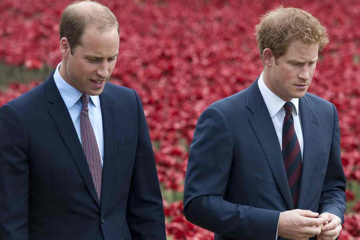 Harry e William: il segreto di Lady Diana