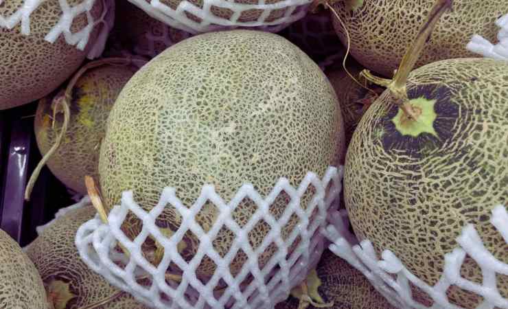 Melone maturo osservazione zona gambo