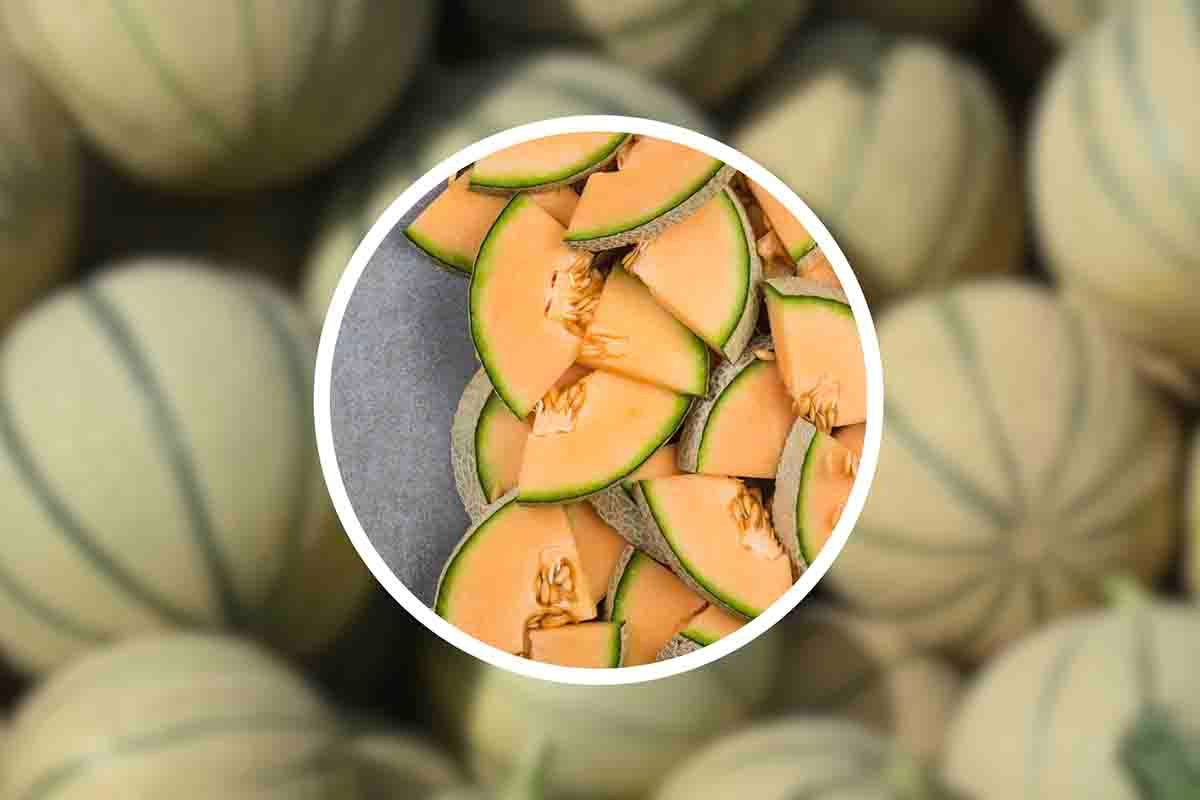 modo riconoscere melone maturo