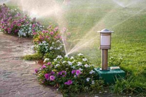 Come evitare di sprecare acqua per l'irrigazione