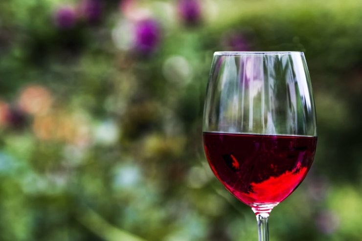 valorizzazione del vino abruzzese