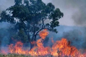 incendi Abruzzo pericolo