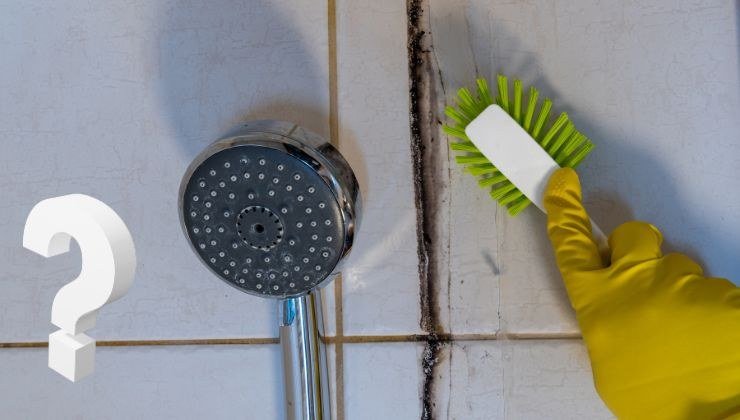 prodotti naturali per pulire la doccia