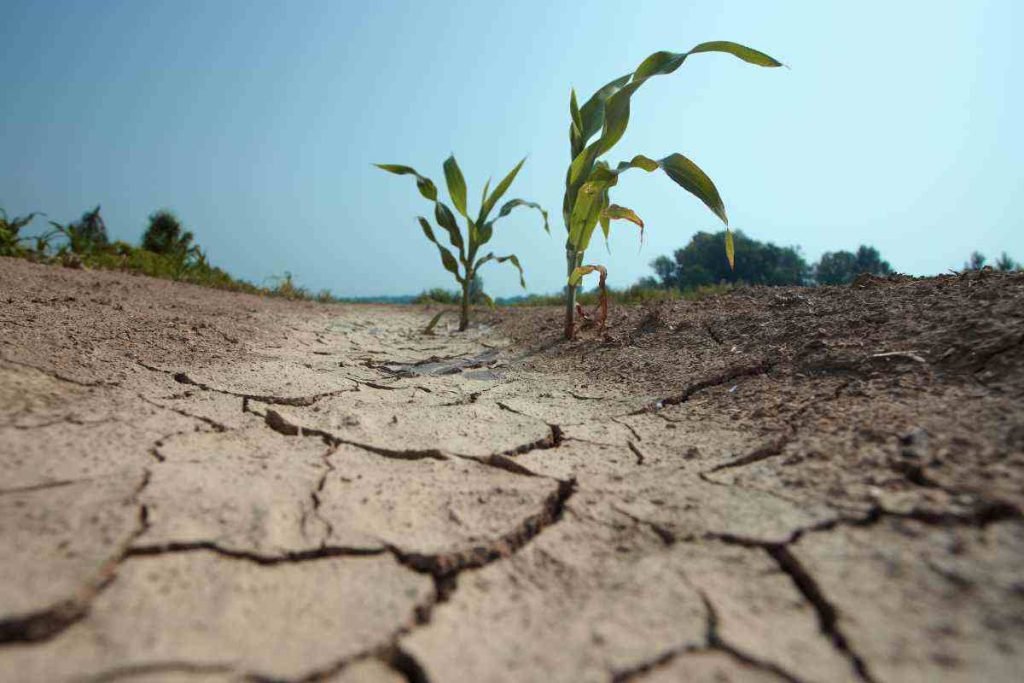 allarme siccità abruzzo