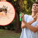 Come dire addio alle zanzare