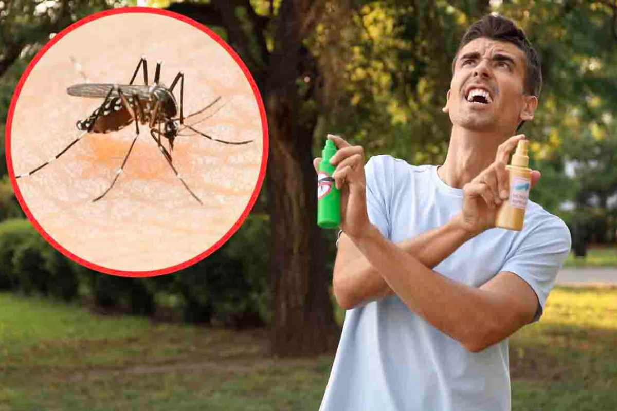 Come dire addio alle zanzare