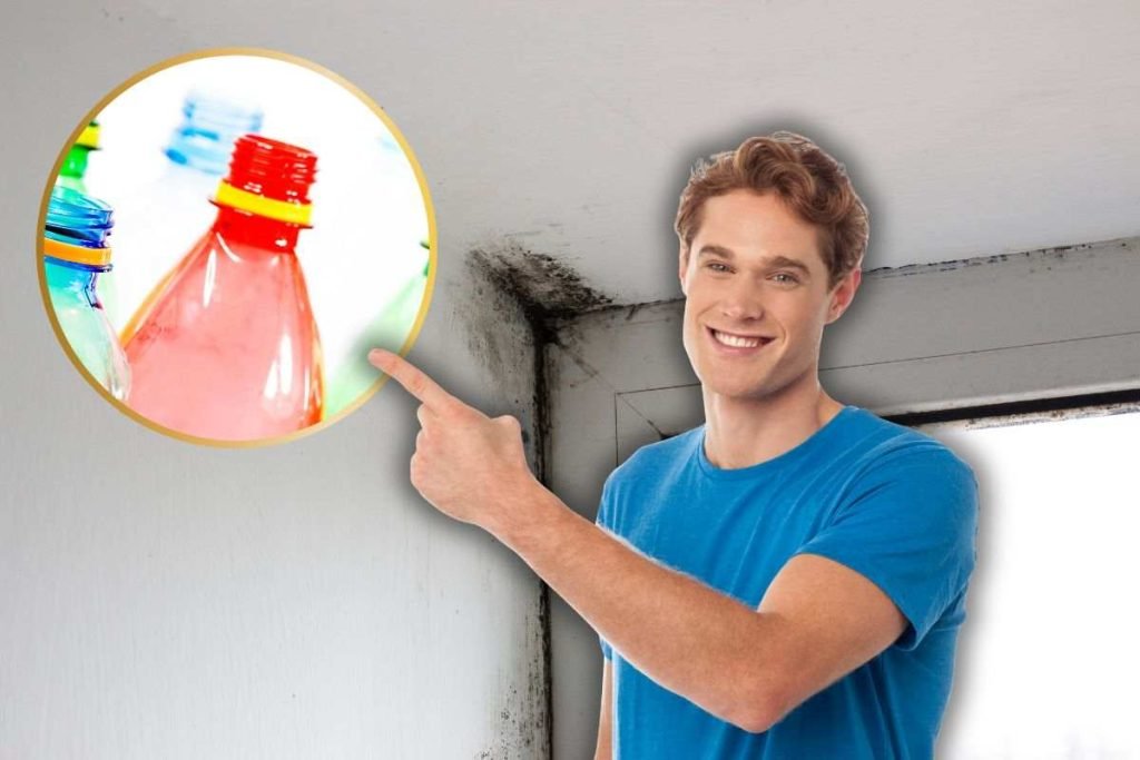 Come usare una bottiglia di plastica per sconfiggere l'umidità in casa