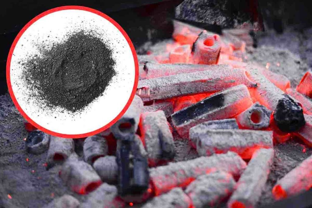 Carbonella dove gettarla nella differenziata