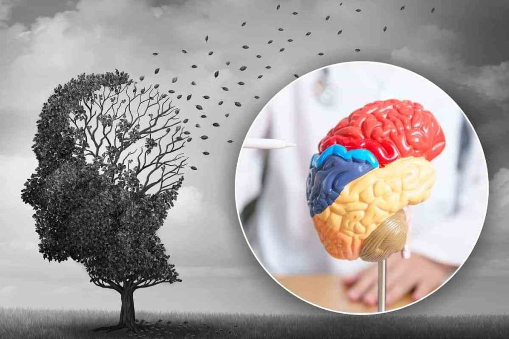 alzheimer regole per abbattere della metà il rischio di ammalarsi