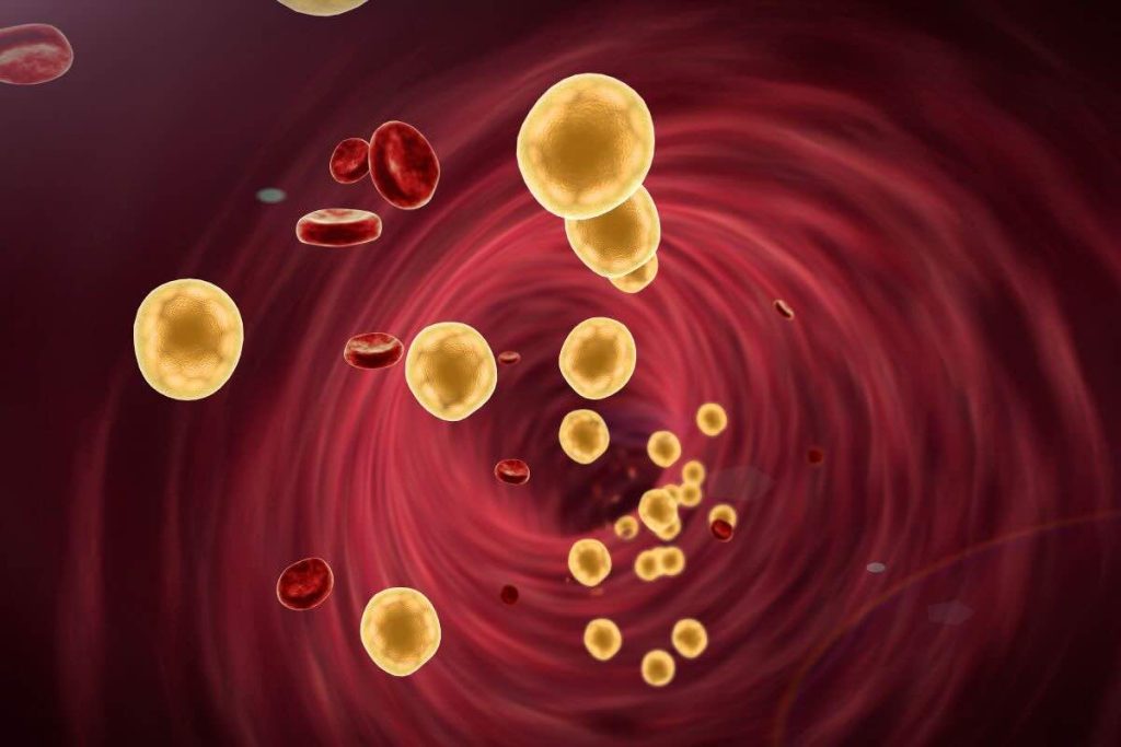 Colesterolo: puoi misurarlo a casa