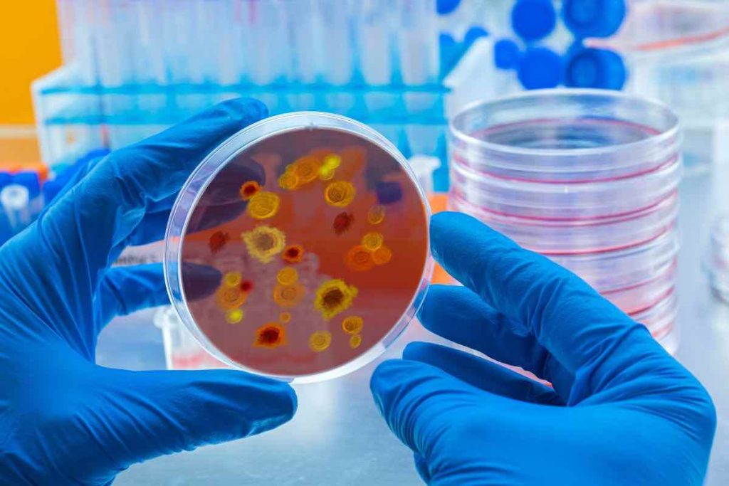 vaiolo delle scimmie come sconfiggerlo